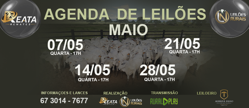 AGENDA DE LEILÕES