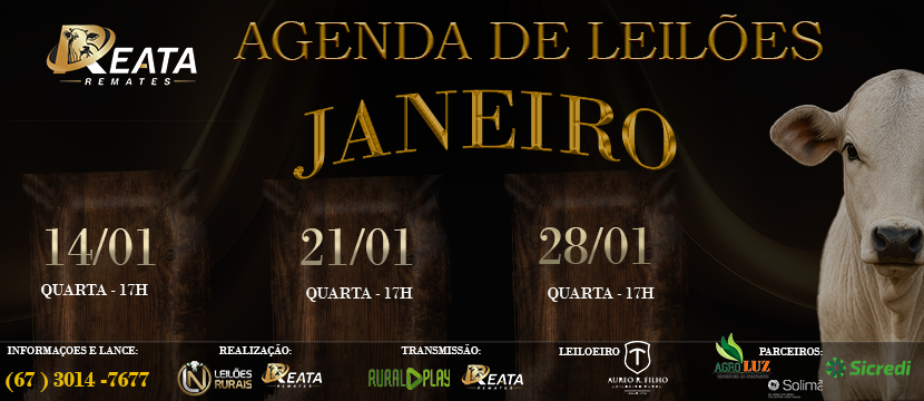 AGENDA DE LEILÕES