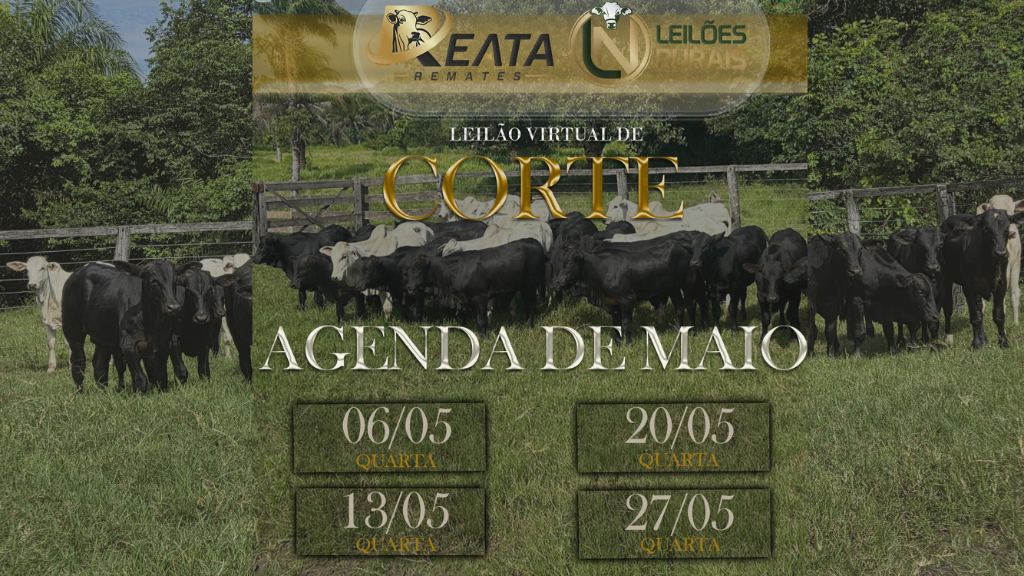 AGENDA DE LEILÕES