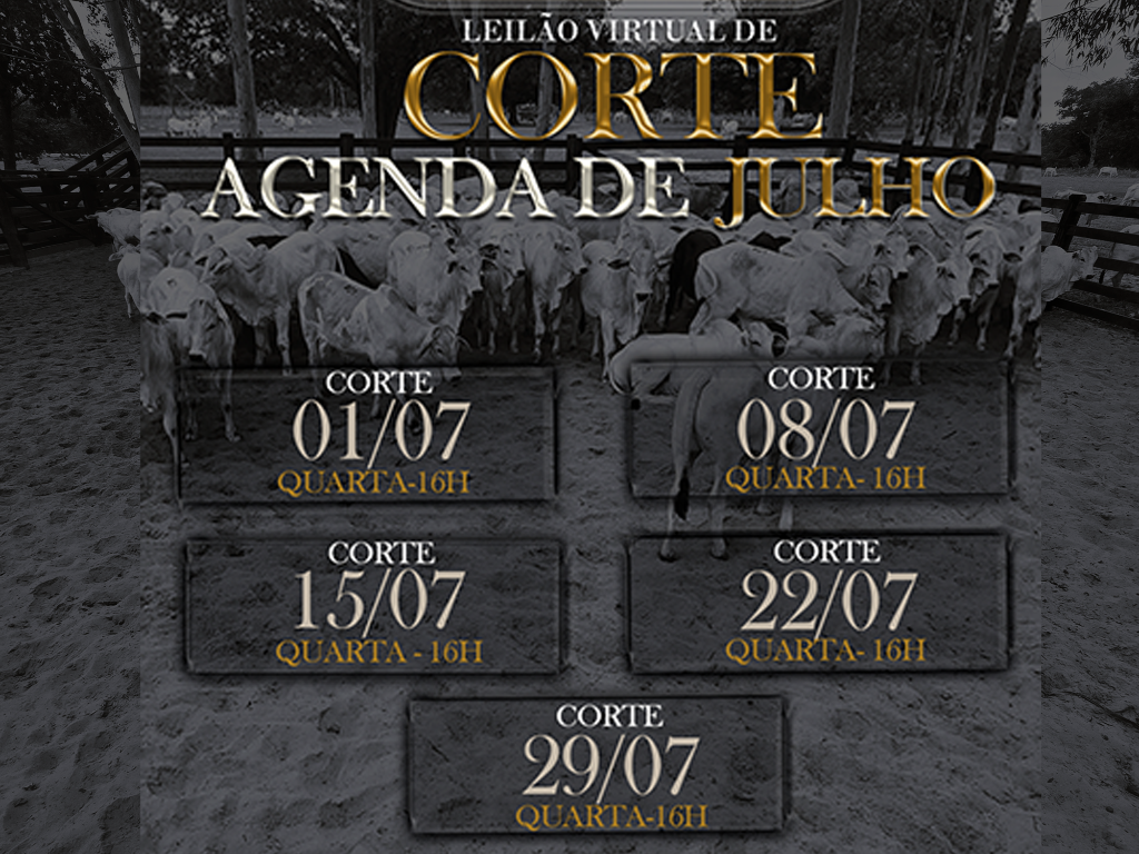 AGENDA DE LEILÕES